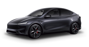 Renting Tesla Model Y - Performance sin Entrada