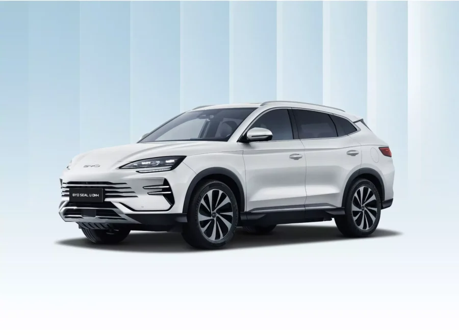 Renting BYD SEAL UDM-I Design Snow White Sin Entrada