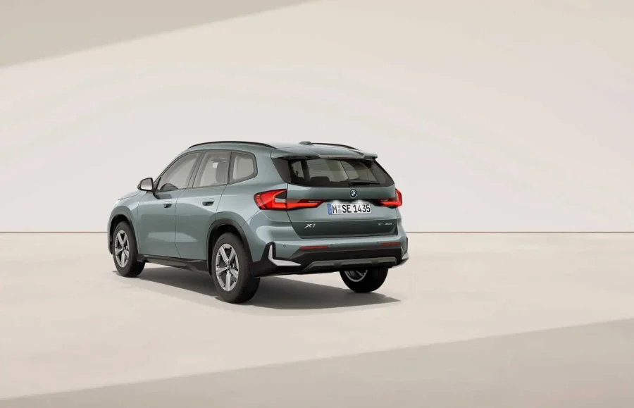 Renting BMW X1xDrive20d Premium Package Cape York Green metalizado Sin Entrada
